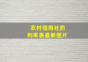 农村信用社的利率表最新图片