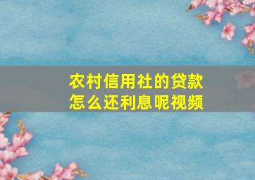 农村信用社的贷款怎么还利息呢视频