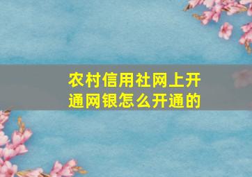 农村信用社网上开通网银怎么开通的