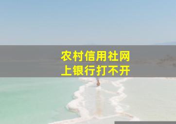 农村信用社网上银行打不开