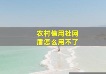 农村信用社网盾怎么用不了