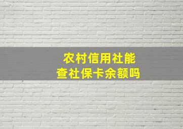 农村信用社能查社保卡余额吗