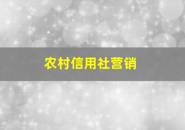 农村信用社营销