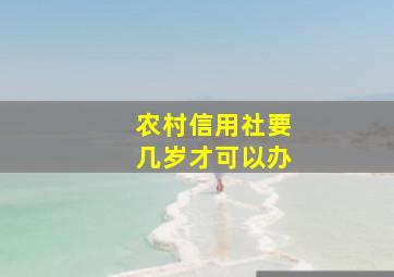 农村信用社要几岁才可以办