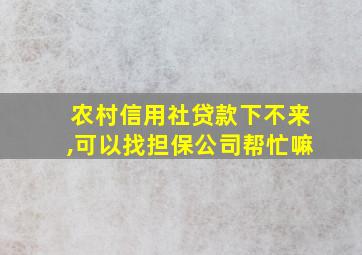 农村信用社贷款下不来,可以找担保公司帮忙嘛