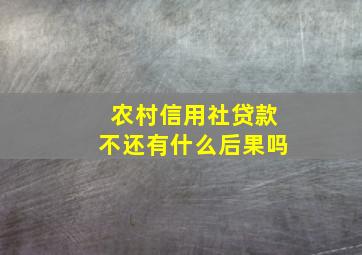 农村信用社贷款不还有什么后果吗