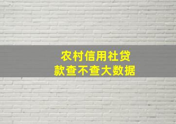 农村信用社贷款查不查大数据