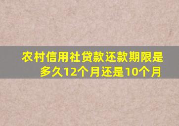 农村信用社贷款还款期限是多久12个月还是10个月