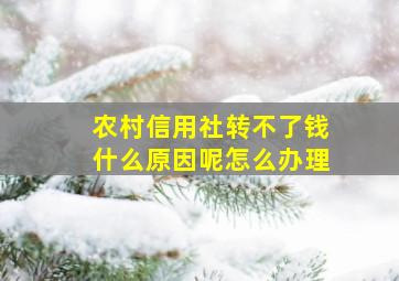 农村信用社转不了钱什么原因呢怎么办理