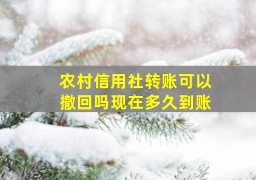 农村信用社转账可以撤回吗现在多久到账