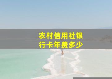 农村信用社银行卡年费多少