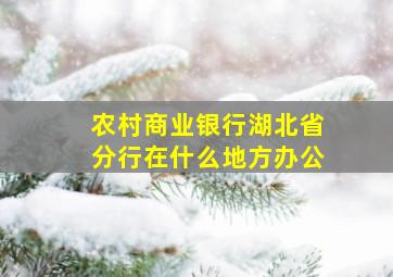 农村商业银行湖北省分行在什么地方办公