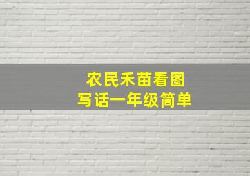 农民禾苗看图写话一年级简单