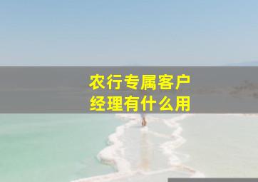 农行专属客户经理有什么用