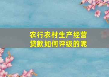 农行农村生产经营贷款如何评级的呢