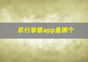 农行掌银app是哪个