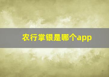 农行掌银是哪个app