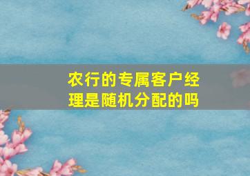 农行的专属客户经理是随机分配的吗