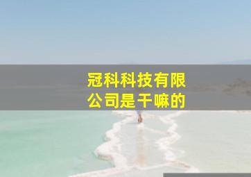 冠科科技有限公司是干嘛的