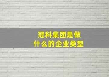 冠科集团是做什么的企业类型