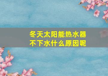 冬天太阳能热水器不下水什么原因呢