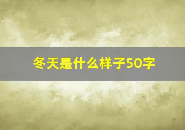 冬天是什么样子50字