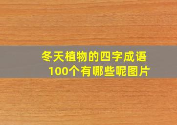 冬天植物的四字成语100个有哪些呢图片