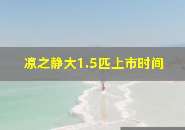 凉之静大1.5匹上市时间