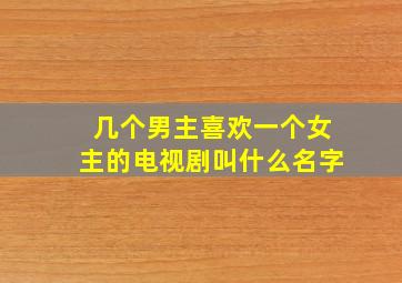 几个男主喜欢一个女主的电视剧叫什么名字