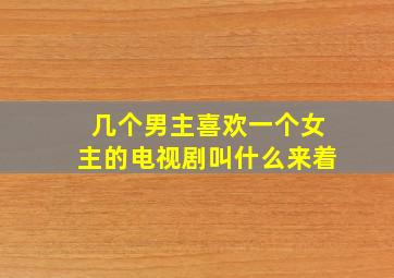 几个男主喜欢一个女主的电视剧叫什么来着