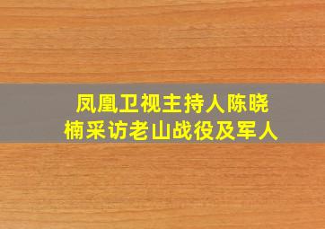 凤凰卫视主持人陈晓楠采访老山战役及军人