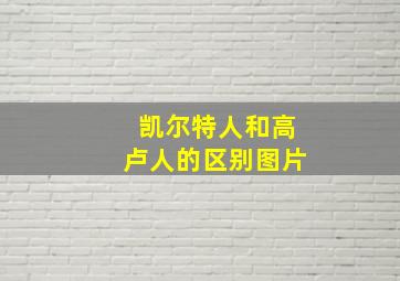 凯尔特人和高卢人的区别图片