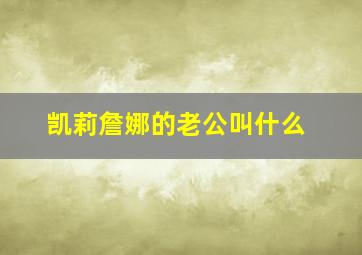 凯莉詹娜的老公叫什么