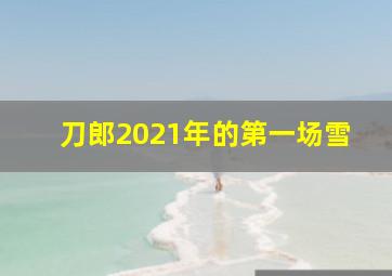 刀郎2021年的第一场雪