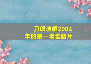 刀郎演唱2002年的第一场雪图片