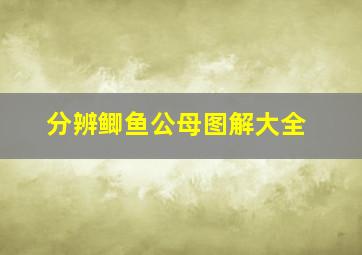 分辨鲫鱼公母图解大全