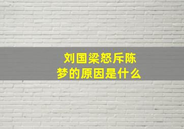 刘国梁怒斥陈梦的原因是什么