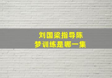 刘国梁指导陈梦训练是哪一集