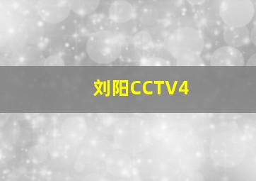 刘阳CCTV4