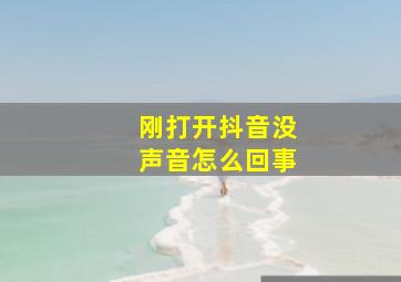 刚打开抖音没声音怎么回事