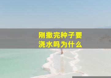 刚撒完种子要浇水吗为什么