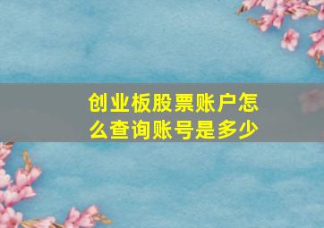 创业板股票账户怎么查询账号是多少