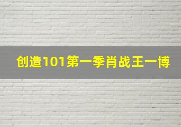 创造101第一季肖战王一博