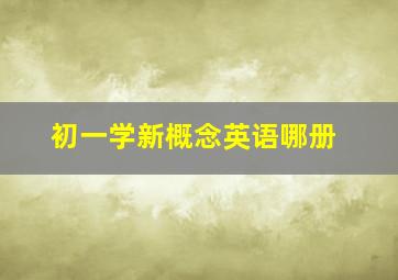 初一学新概念英语哪册