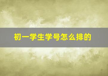 初一学生学号怎么排的