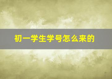 初一学生学号怎么来的