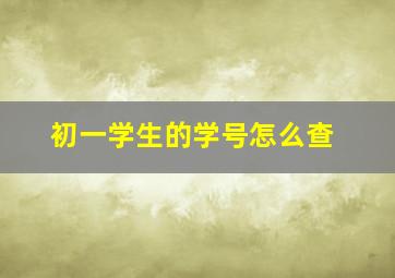 初一学生的学号怎么查