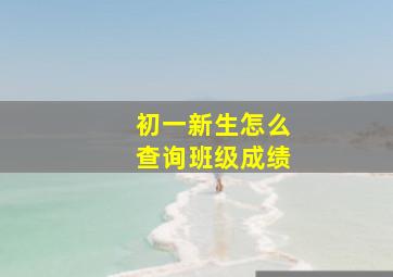 初一新生怎么查询班级成绩