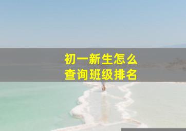 初一新生怎么查询班级排名