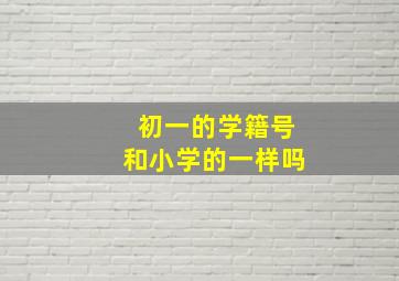 初一的学籍号和小学的一样吗